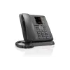 IP-DECT телефон Gigaset (S30853-H4007-R101)