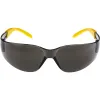 Zaščitna očala DeWALT (DPG54-2D)