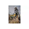 Chain saw DeWALT (DCM565N)