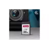 Cartão de memória Transcend (TS320GCFE860)
