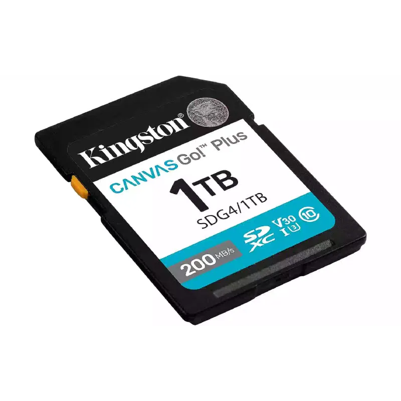 بطاقة الذاكرة Kingston Canvas Go Plus G4 (SDG4/1TB)