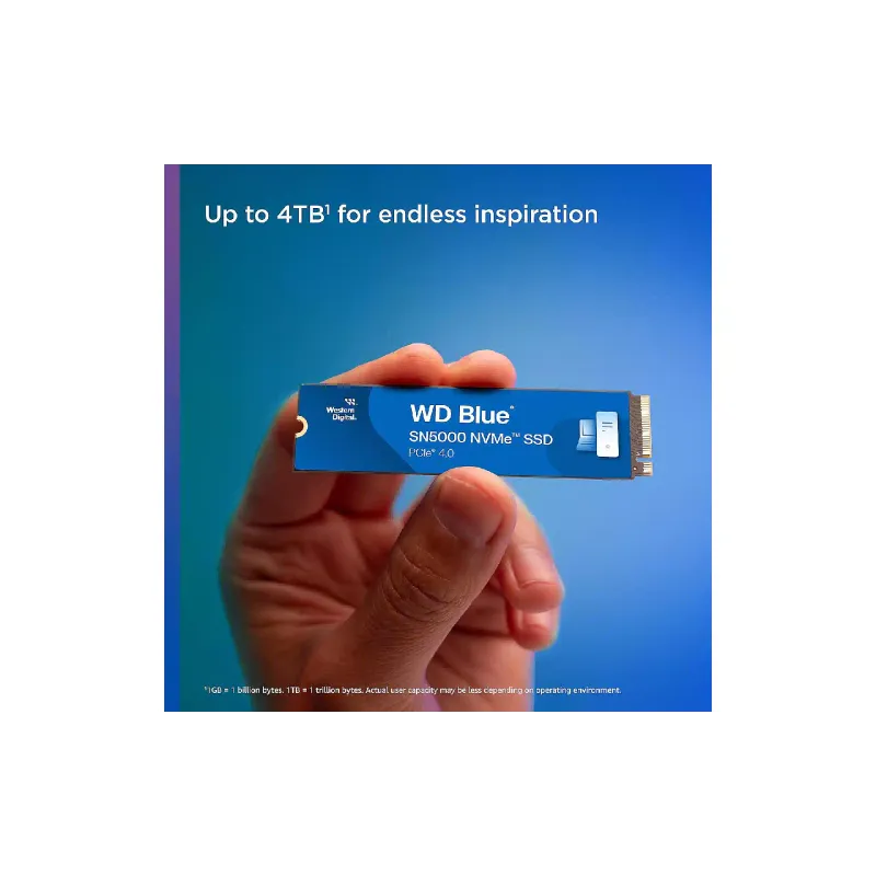Αποθήκευση SSD WD (WDS200T4B0E)