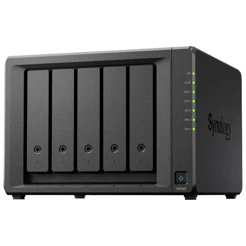 Expanding Network Storage Synology  (DX525)