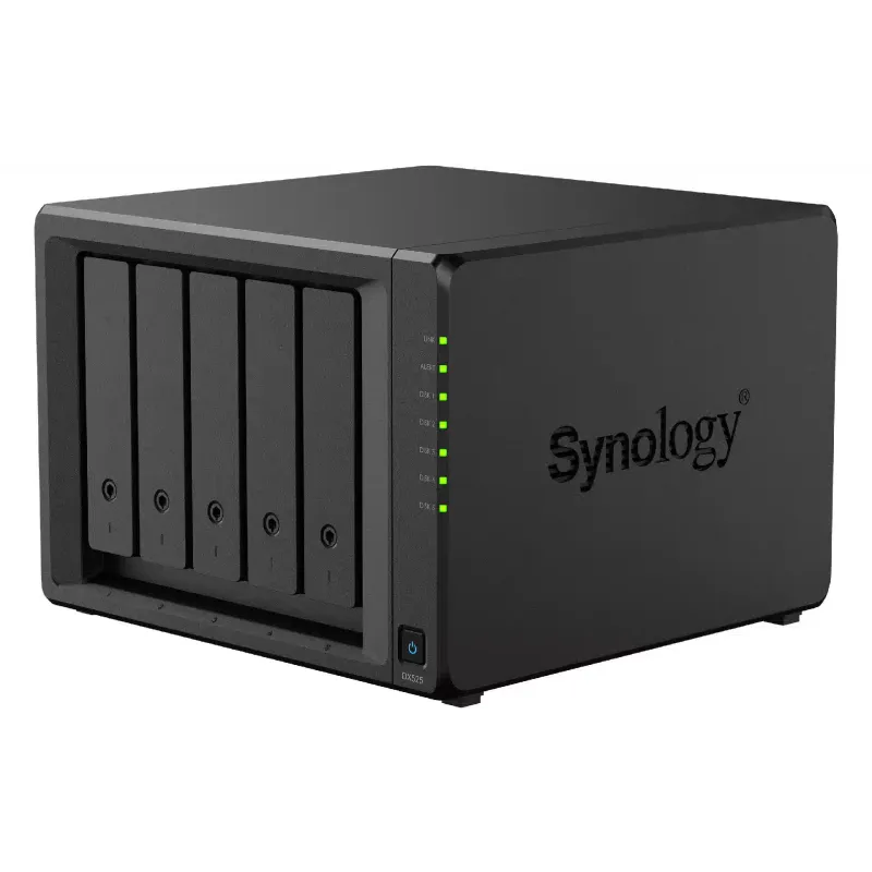 Expanding Network Storage Synology  (DX525)