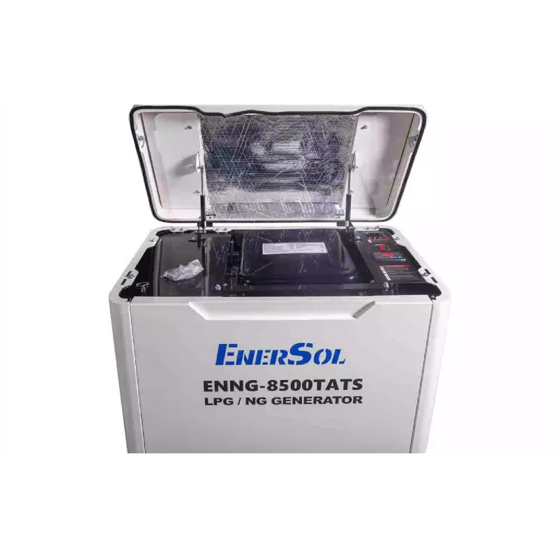 Gerador de gás EnerSol (ENNG-8500TATS)