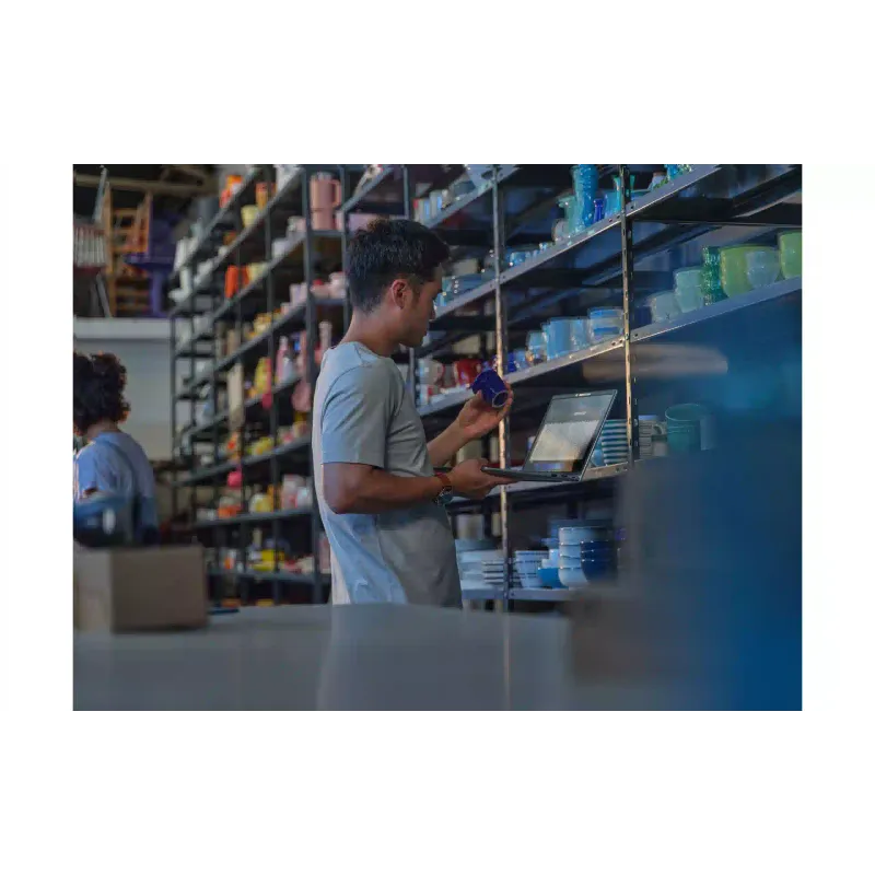 Laptop HP ProBook 4-G1i, Silver (C44Z9ET)