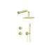 Komplet za tuširanje Deante Silia, Brushed Gold (NQS_R9YK)