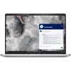 Φορητός υπολογιστής Dell Pro, Silver (BTO104PB16250UA_W11P)