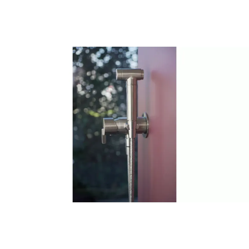 Змішувач для біде Deante Silia (BQS_F34M), сталь, Matte Steel