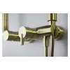 Душова система Deante Silia (NQS_R4XM), Brushed Gold