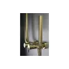 Душова система Deante Silia (NQS_R4XM), Brushed Gold