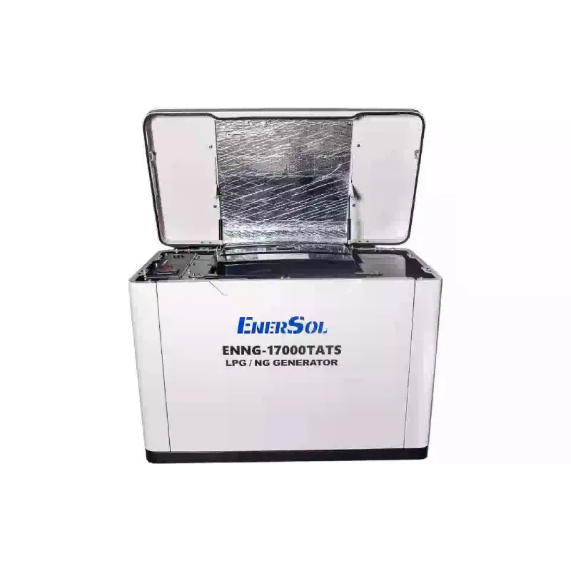 Γεννήτρια αερίου EnerSol (ENNG-17000TATS)