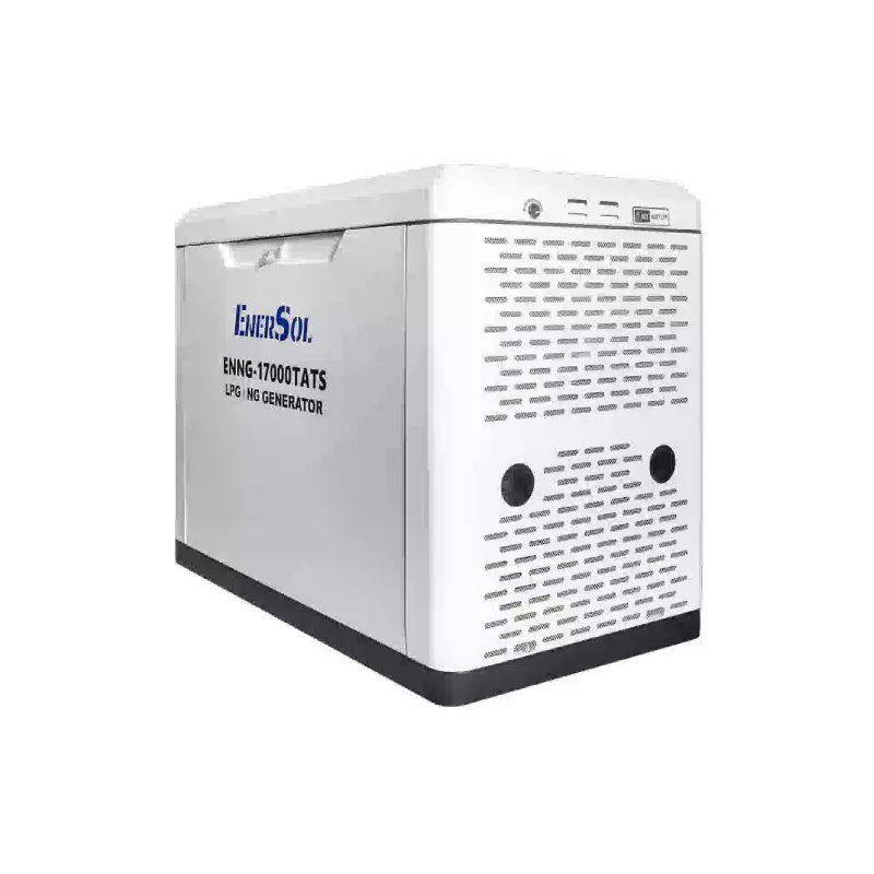 Γεννήτρια αερίου EnerSol (ENNG-17000TATS)