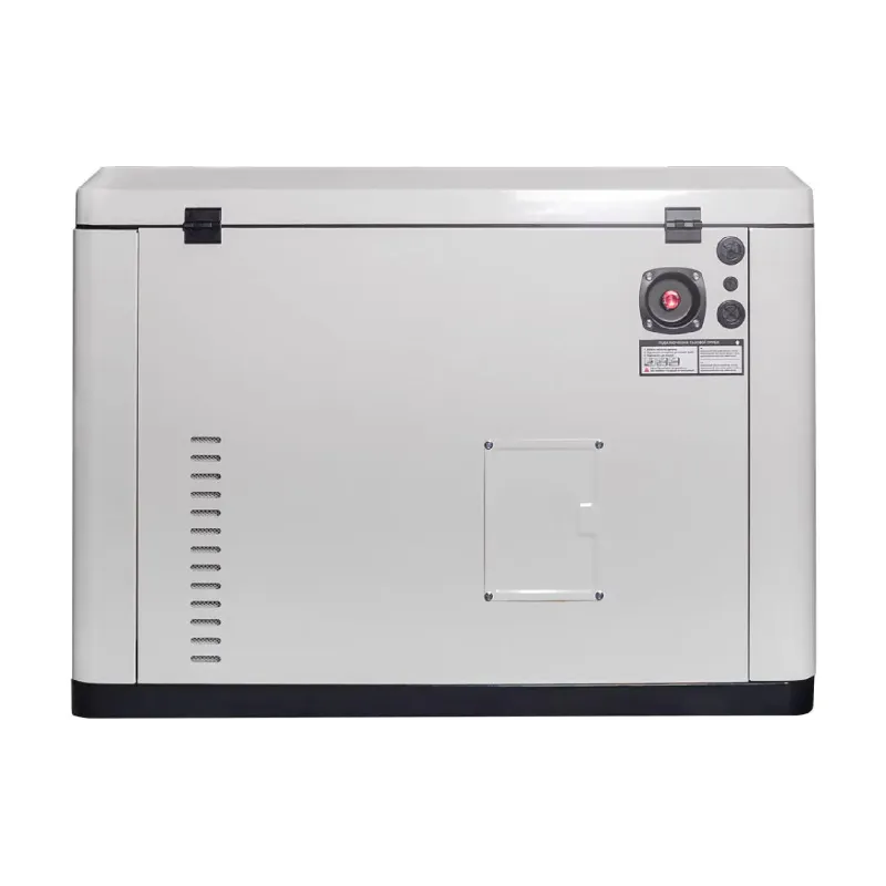 Γεννήτρια αερίου EnerSol (ENNG-17000TATS)