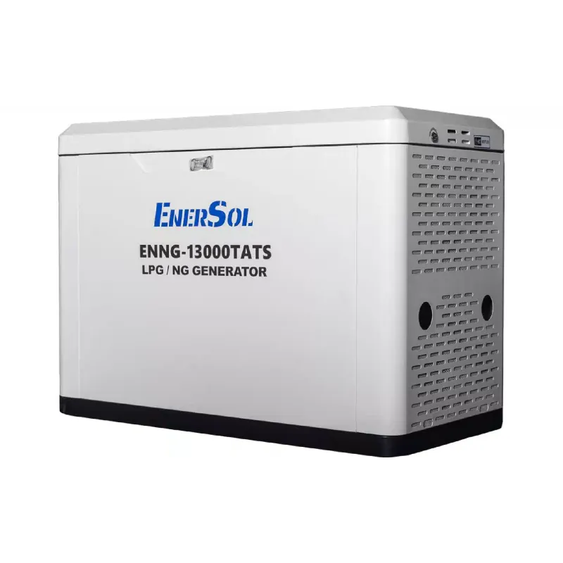 Γεννήτρια αερίου EnerSol (ENNG-13000TATS)