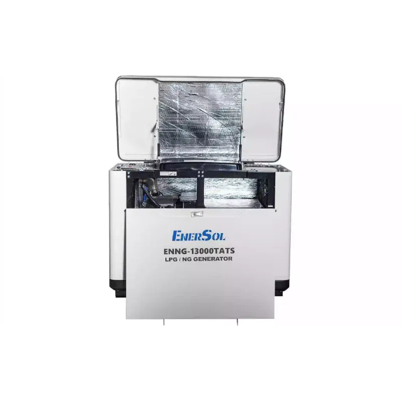 Γεννήτρια αερίου EnerSol (ENNG-13000TATS)