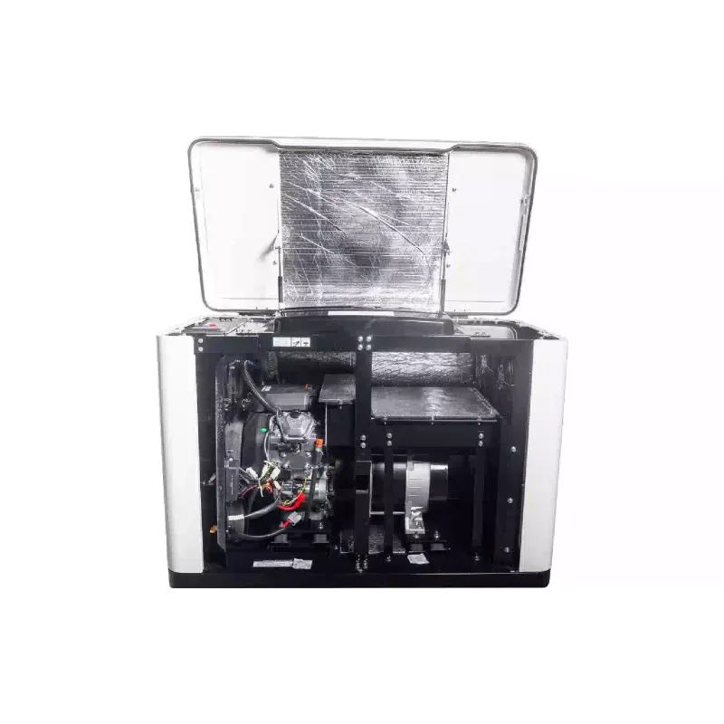 Γεννήτρια αερίου EnerSol (ENNG-13000TATS)