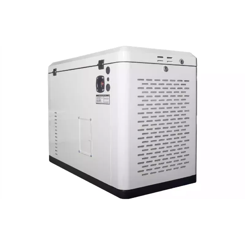 Γεννήτρια αερίου EnerSol (ENNG-13000TATS)