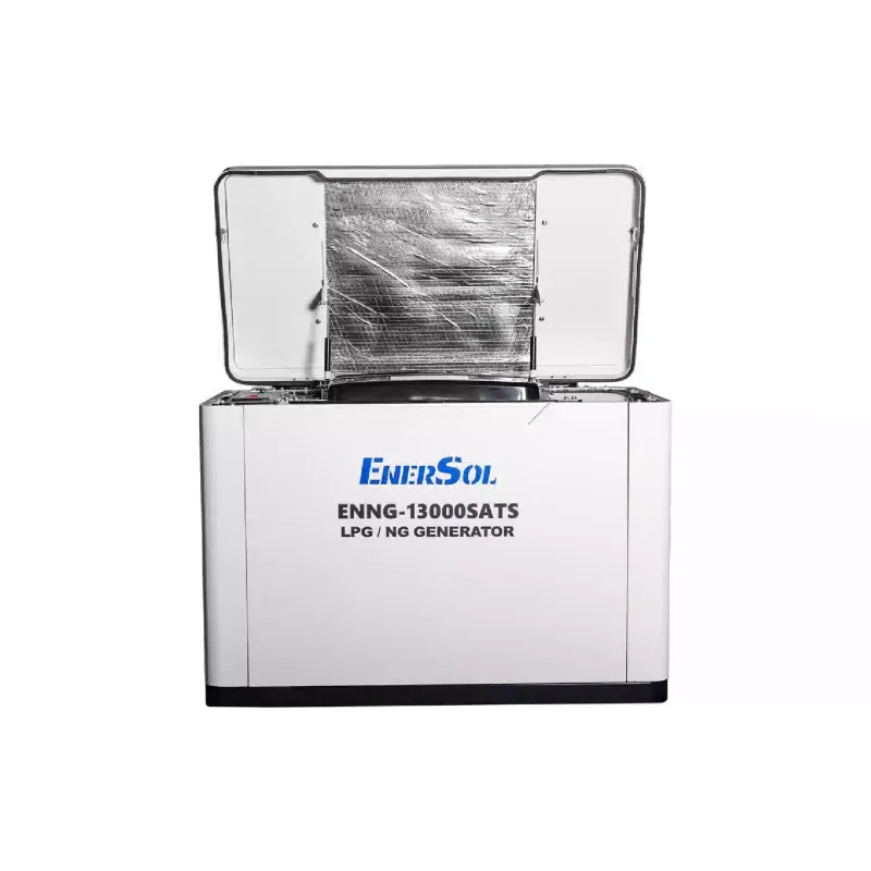 Γεννήτρια αερίου EnerSol (ENNG-13000SATS)