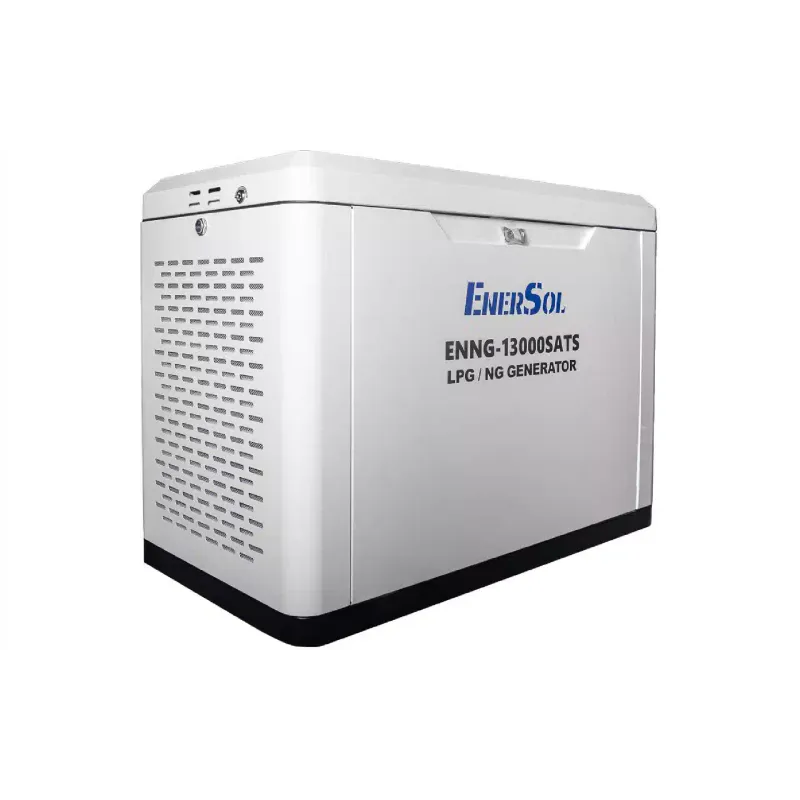Γεννήτρια αερίου EnerSol (ENNG-13000SATS)