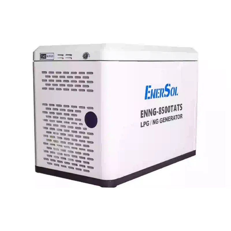 Gerador de gás EnerSol (ENNG-8500TATS)