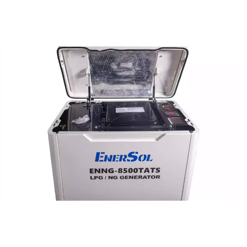 Gerador de gás EnerSol (ENNG-8500TATS)