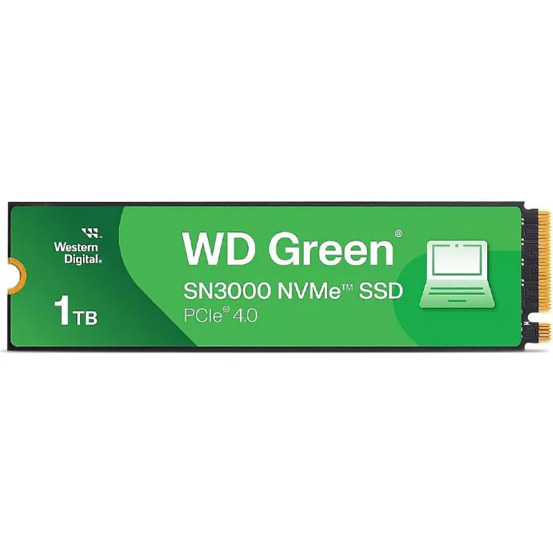 تخزين SSD WD (WDS100T4G0E)