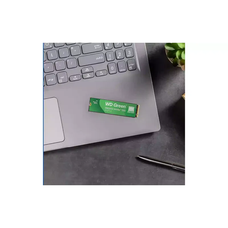 تخزين SSD WD (WDS100T4G0E)