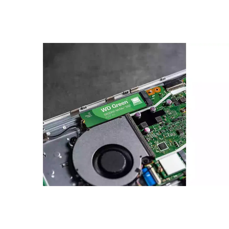تخزين SSD WD (WDS100T4G0E)