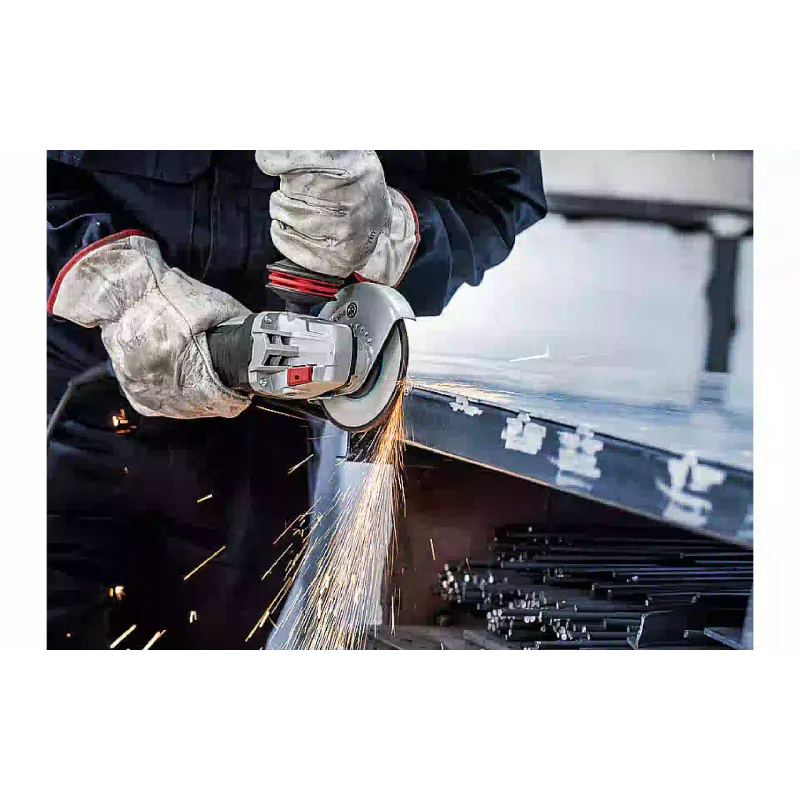 Диск Bosch (2.608.603.182)