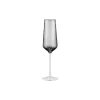 Taça de champanhe Ardesto Black Mars Alcor, Grey (AR2627GF)