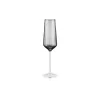 Taça de champanhe Ardesto Black Mars Alcor, Grey (AR2627GF)