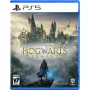 Igra Games Software Hogwarts Legacy (1194246)