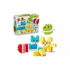 Construtor LEGO (10477-)