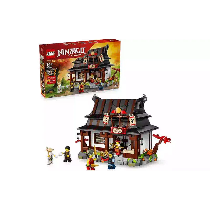Construtor LEGO (71858)