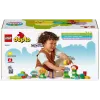 Construtor LEGO Duplo Creative Garden & Flowers- (10444-)
