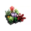 Konstruktor LEGO Botanicals Succulents (10309-)
