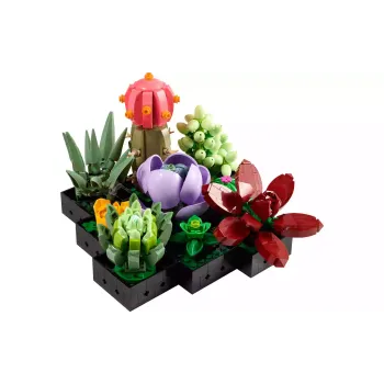 Конструктор LEGO Botanicals Succulents (10309-)