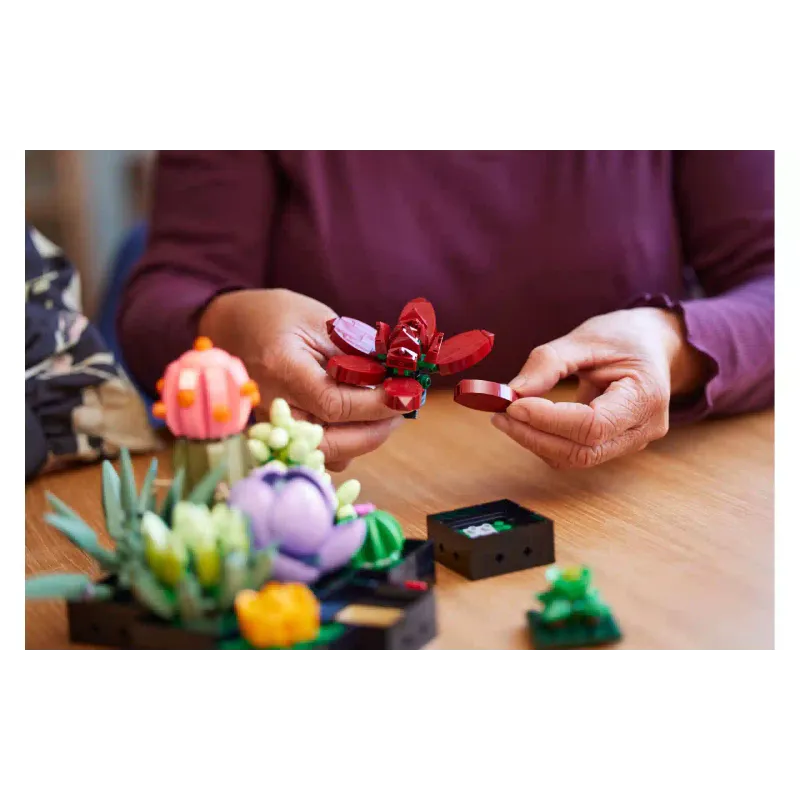 Konstruktor LEGO Botanicals Succulents (10309-)