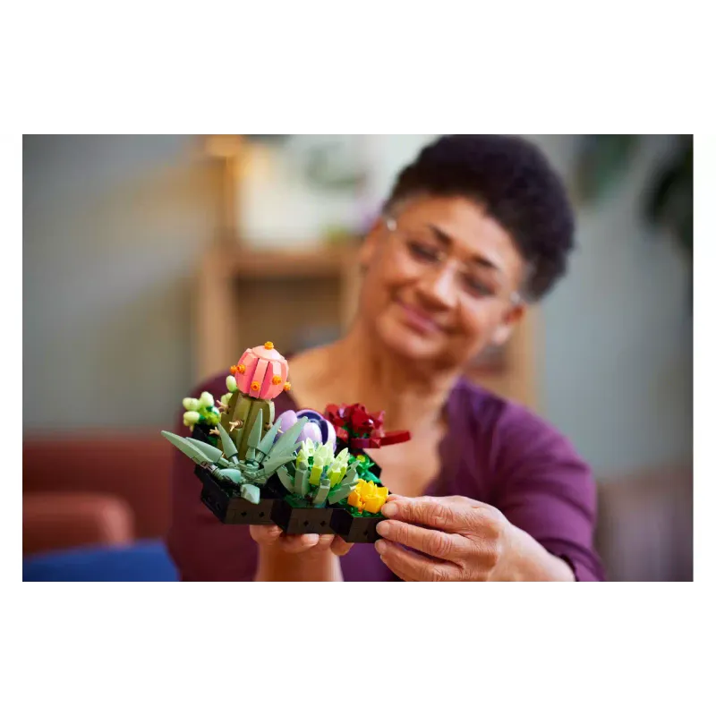 Konstruktor LEGO Botanicals Succulents (10309-)
