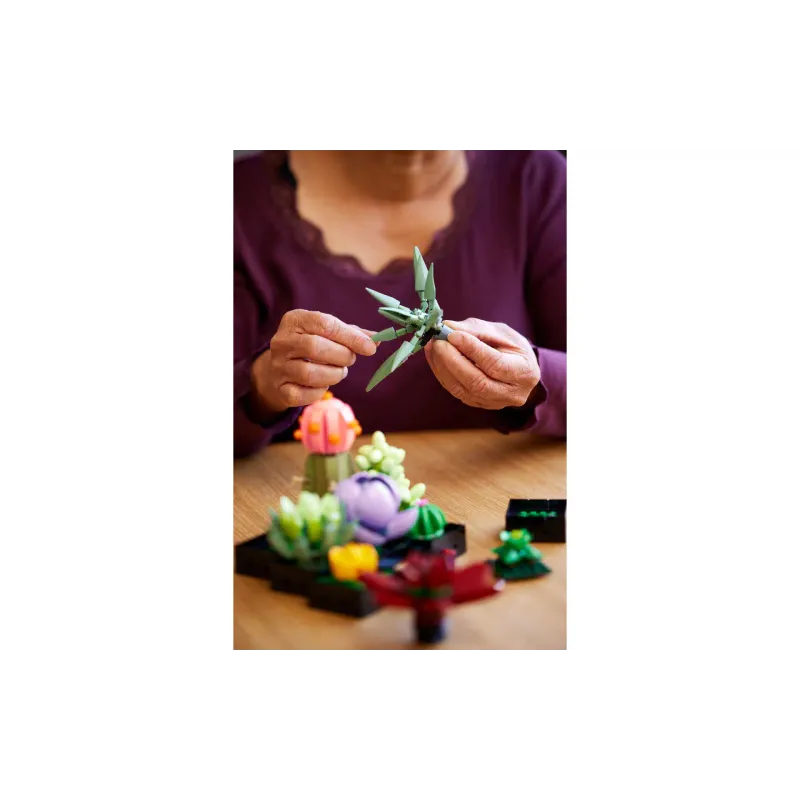 Konstruktor LEGO Botanicals Succulents (10309-)