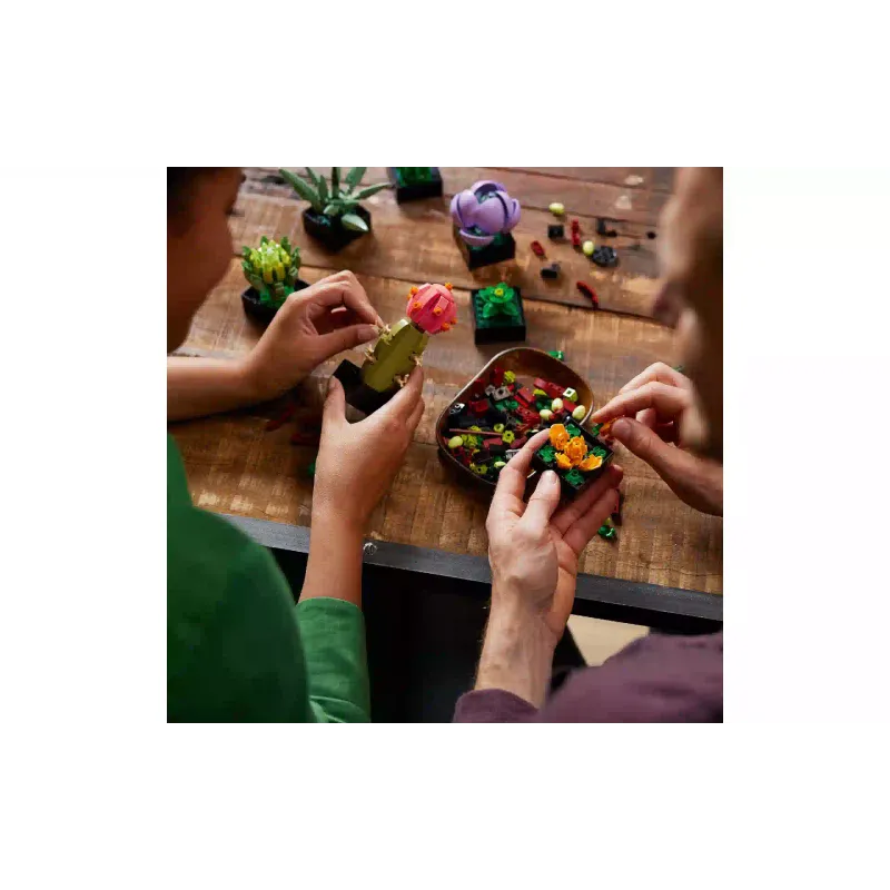 Konstruktor LEGO Botanicals Succulents (10309-)