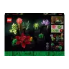Konstruktor LEGO Botanicals Succulents (10309-)