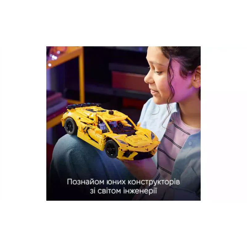 Konstruktőr LEGO Technic Chevrolet Corvette Stingray (42205)