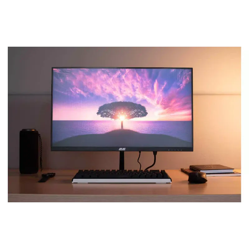 Monitor 2E D2425B (2E-D2425B-01.EU)