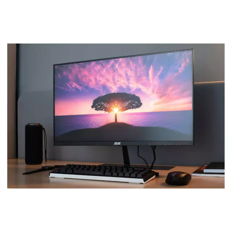 Monitor 2E D2425B (2E-D2425B-01.EU)