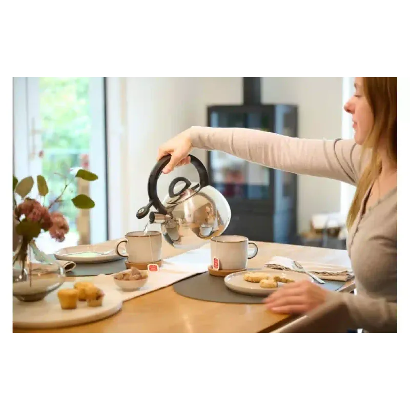 Чайник со свистком Tefal, 2.5 л, нерж. сталь (N4180310)