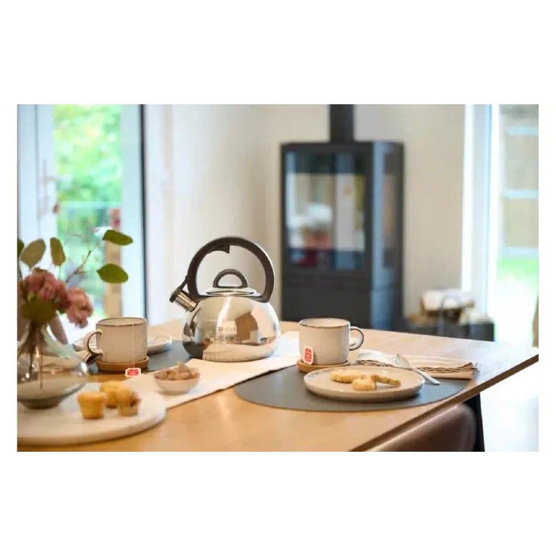 Чайник со свистком Tefal, 2.5 л, нерж. сталь (N4180310)