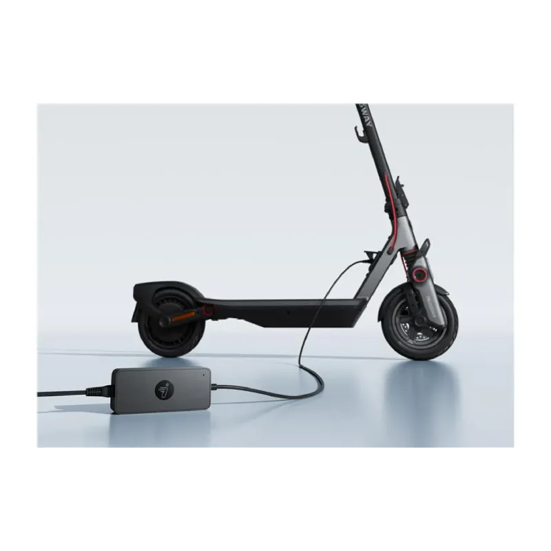 Зарядний пристрій Segway (AD.05.00.13.0018)