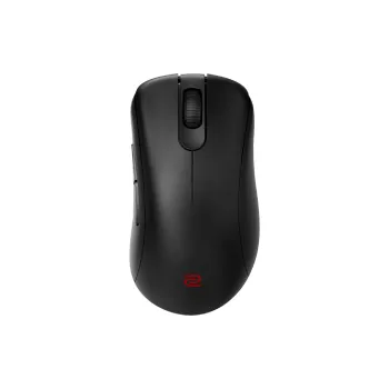 Miška Zowie Gaming, Black (9H.N4VBE.A2E)